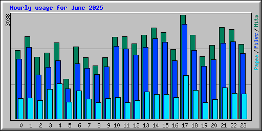Hourly usage for June 2025