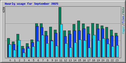 Hourly usage for September 2025