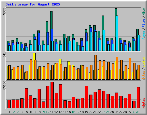 Daily usage for August 2025