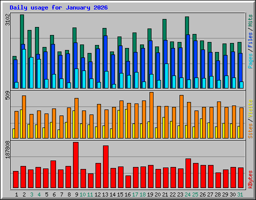 Daily usage for January 2026
