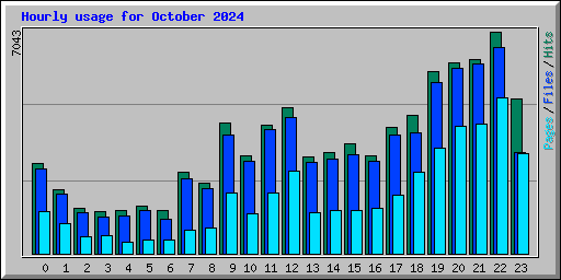 Hourly usage for October 2024