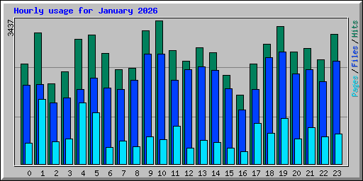 Hourly usage for January 2026